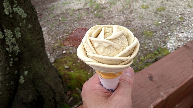 ローズガーデンカフェ &ndash; あつみ温泉の季節限定ロマンチックカフェ