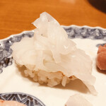 小松 弥助 - アカイカ