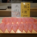 島津 - 鮪　新潟県佐渡の定置129.2kg