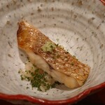 島津 - 長崎県対馬佐須の喉黒