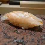 島津 - 天草のオオモンハタ