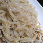 Shirunashi Tantammen Kenkyuujo - 麺のアップ