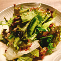 USHIGORO S. NISHIAZABU - 