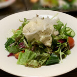 寿し×海鮮酒場 酔灯屋 - 野菜サラダ 530円