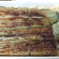 鰻割烹 伊豆栄 本店 - 