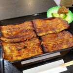 Unagi Shinkawa - 