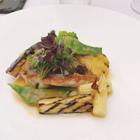 エルルカン・ビス - 