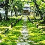 苔乃茶屋 - 苔寺は素晴らしい(＊´ ω｀＊)