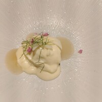 il Ktutti - 