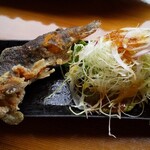 銀鱗亭 - 岩魚の唐揚げ(渓流定食)