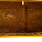 天寿し - 手元に水が流れています