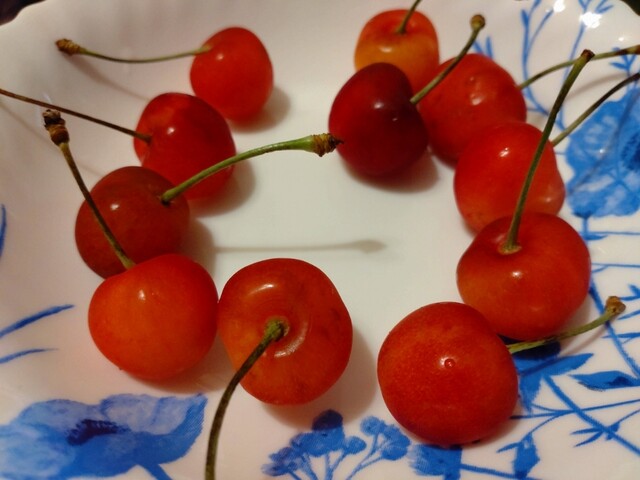 JAさがえ西村山 チェリーランド店（ジェイエーさがえ西村山） - 羽前高松（その他）の写真