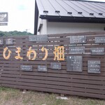 Cafe ひまわり畑 - 