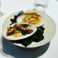 レフェルヴェソンス - 