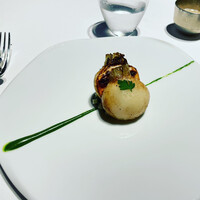 レフェルヴェソンス - 