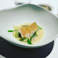 レフェルヴェソンス - 