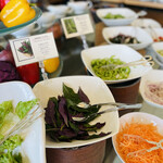 ファインダイニング - 新鮮な沖縄野菜たち