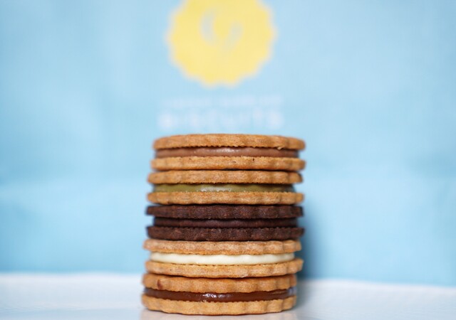 VINCENT GUERLAIS BISCUITS Francais photo 5