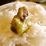 みすたーらいおん - 