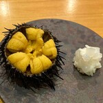 小判寿司 - 岩手 北三陸 北紫雲丹・槍烏賊・シャリ