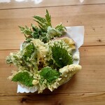 清流の森 - 山菜の天ぷら