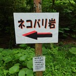 清流の森 - 案内板