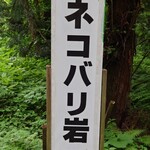 清流の森 - 案内板