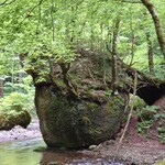 清流の森 - ネコバリ岩