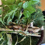 浪漫の館 月下美人 - 