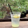 FARMER'S KITCHEN - ドリンク写真:レモネードスカッシュ
