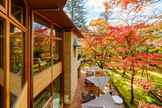 Cresson River Side Story - Moss Garden with Autumn Leaves