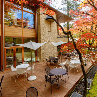 Terrace seating during the autumn foliage season