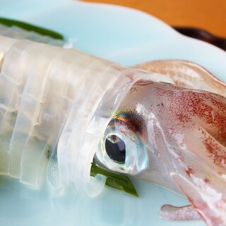 You can also take it home! Extremely fresh! Live swimming squid