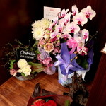 アシッドラシーヌ - 開店祝のお花が沢山。'13 3月中旬