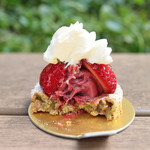 アシッドラシーヌ - ベニートの断面 '13 3月中旬 