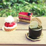 アシッドラシーヌ -  '13 3月中旬