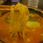 讃岐流坦々麺と大宝寺カレーの専門店　北斗辛軒 - 麺