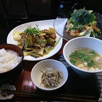 高麗橋桜花 - 