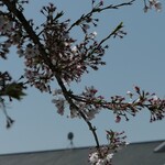 アテスウェイ - 近所