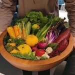 レフェルヴェソンス - 