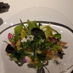 レフェルヴェソンス - 