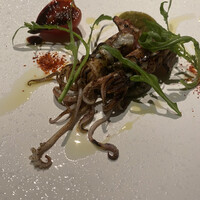 シブ ニシナカス - 