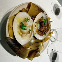 レフェルヴェソンス - 