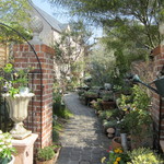 メディーナ - 駐車場から素敵な中庭に入って行くと・・・