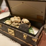 スガラボヴィー - 