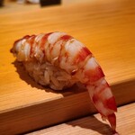 鮨 さかい - ⑱車海老(福岡県志賀島産)
      産卵期は初夏～初秋、旬は初夏～初秋。
      奥の厨房で茹でたての温かい車海老。
      ぷりぷり、温かなシャリがググッと沈み込みます。
      華やかな甘みと旨味が押し寄せます。