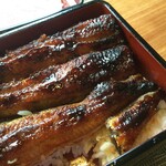 町田 うなぎ流木 - 上うな重、関西風地焼