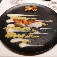 カンテサンス - 