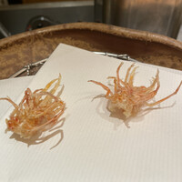 天ぷら 銀座おのでら 並木通り店 - 