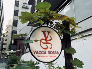 VACCA ROSSA - 